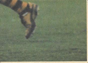1986 Scanlens VFL #48 Bruce Abernethy Back